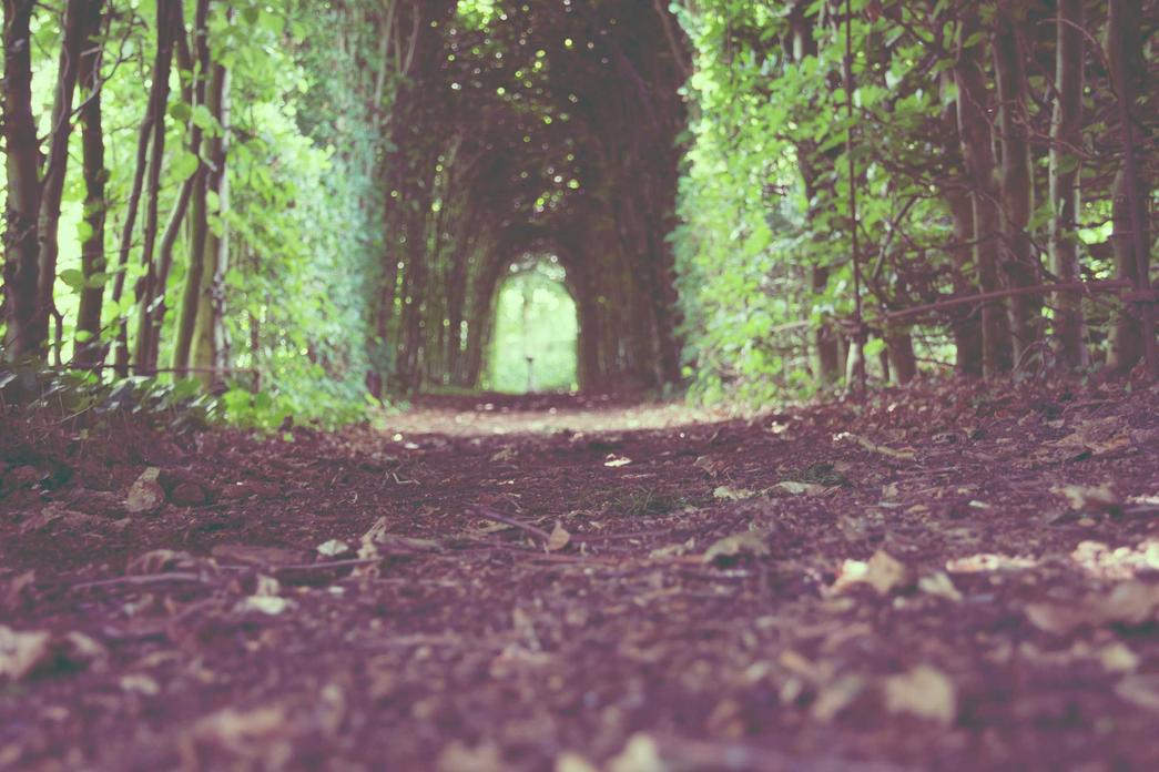 Totam beatae ex illo deleniti consequuntur voluptates aliquam adipisci quia