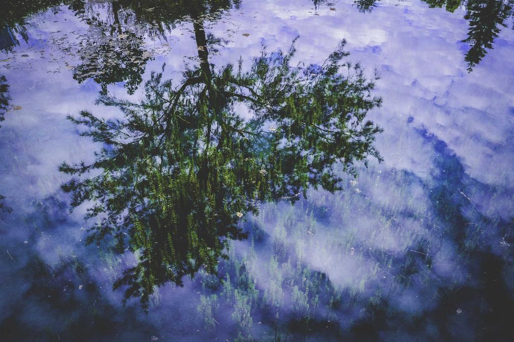 Perferendis culpa aut